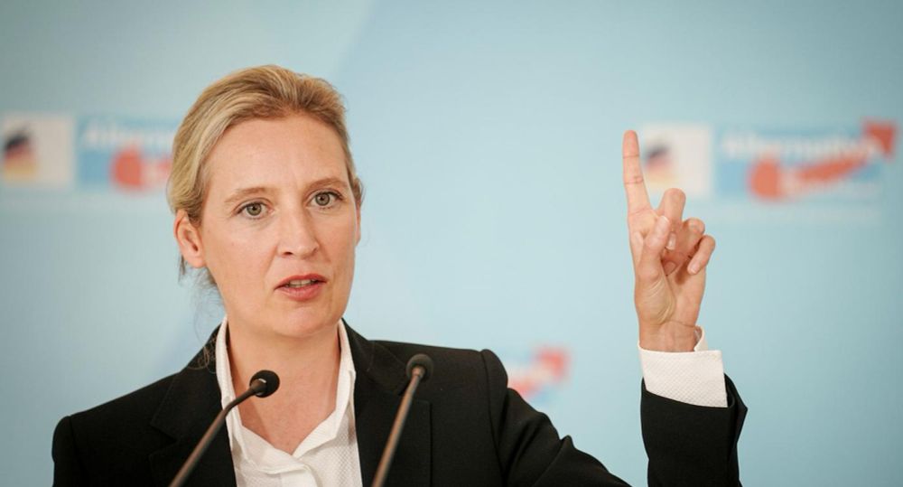 AfD-Chefin Alice Weidel kommt im Februar nach Bretten