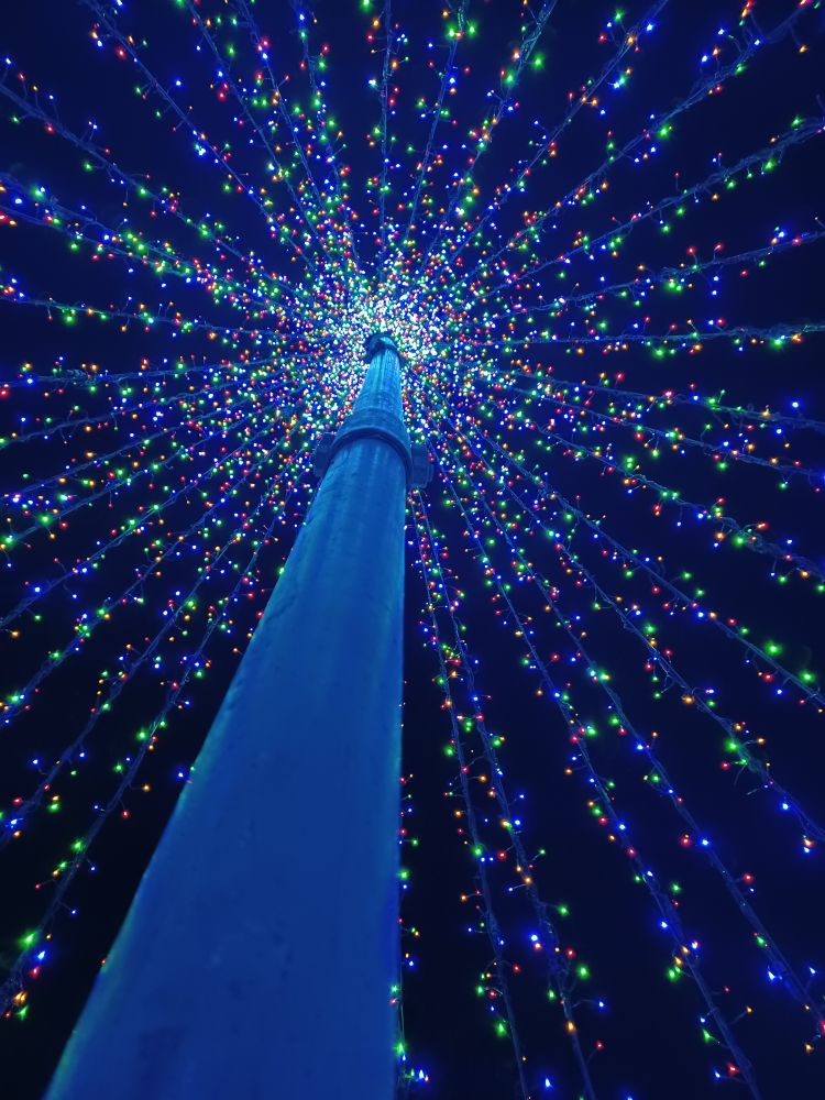 There is a telephone pole in the middle of the screen with Christmas lights surrounding the pole and shooting out like rays from the top of the pole until they anchor themselves the ground, similar to a tent with the pole in the middle. The view is next the pole, inside the “tent” looking up at the lights. 