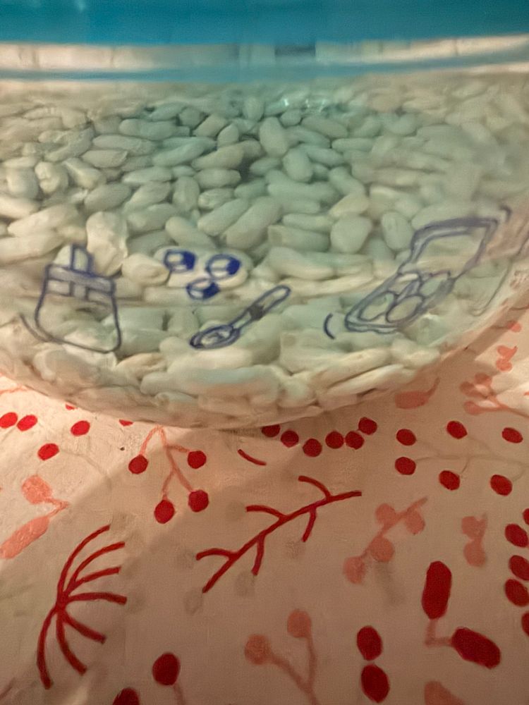 Haricots blancs qui trempent pour la nuit 