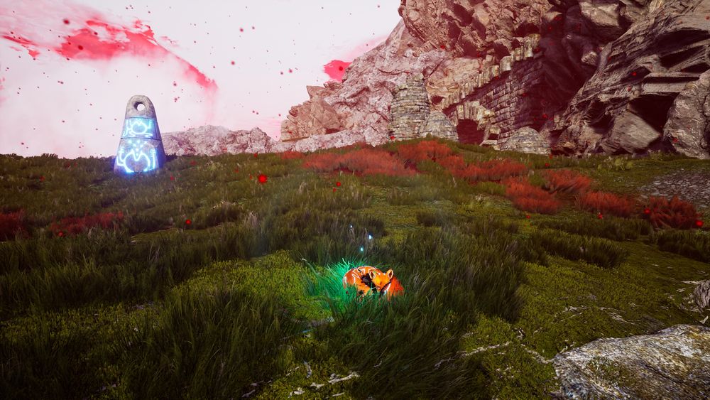 Copie image vidéo « Spirit Of The North ». Un renard roux allongé dans l’herbe 