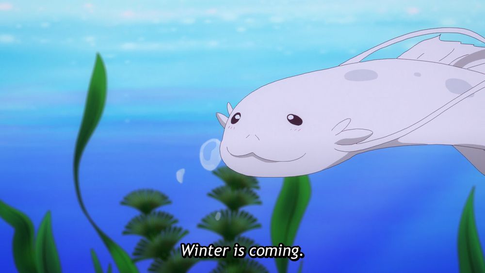 anime fish: "Winter is coming."