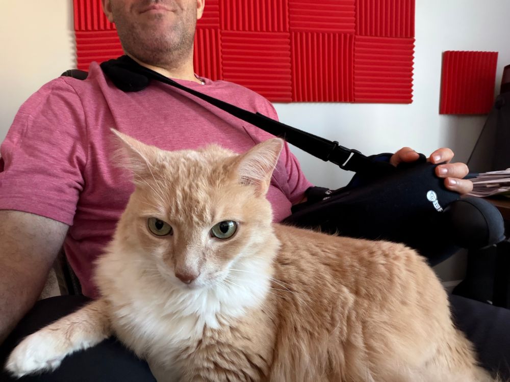 Selfie of Greg sitting in his office chair, wearing a red medical shirt and sling contraption on his left arm, sporting 4-day-old facial hair. On his lap in the foreground, staring at the camera lens, is his domestic long-haired cat Biscuit. 