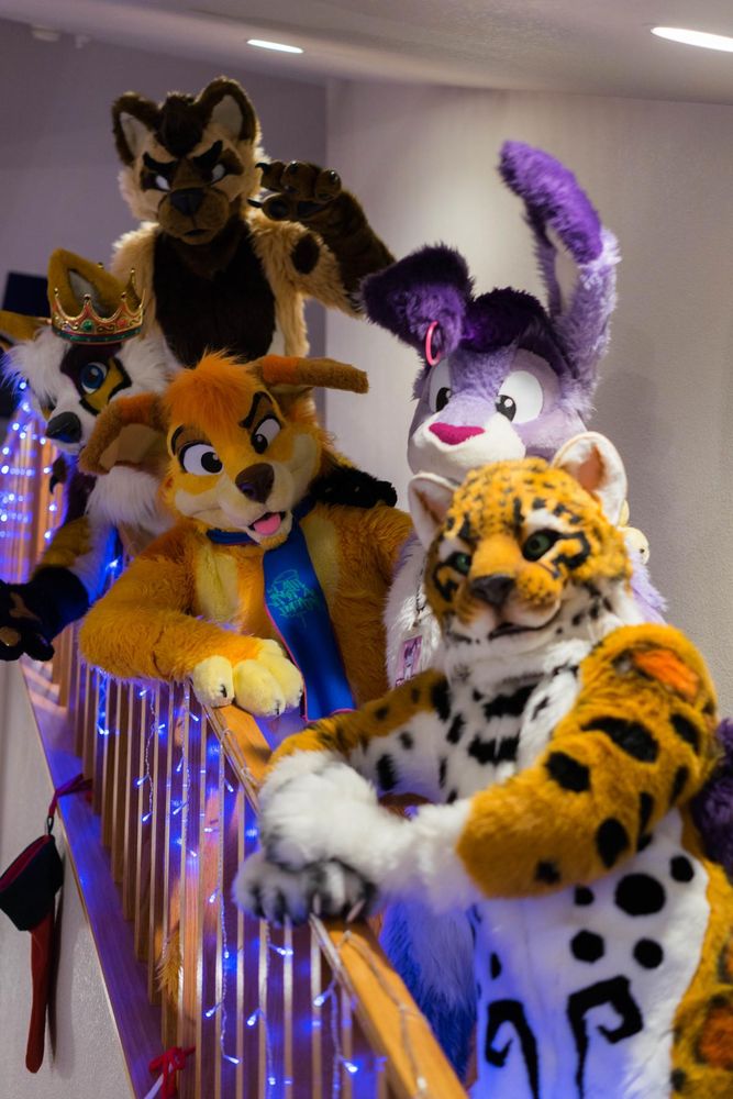 A photo featuring a Fursuit