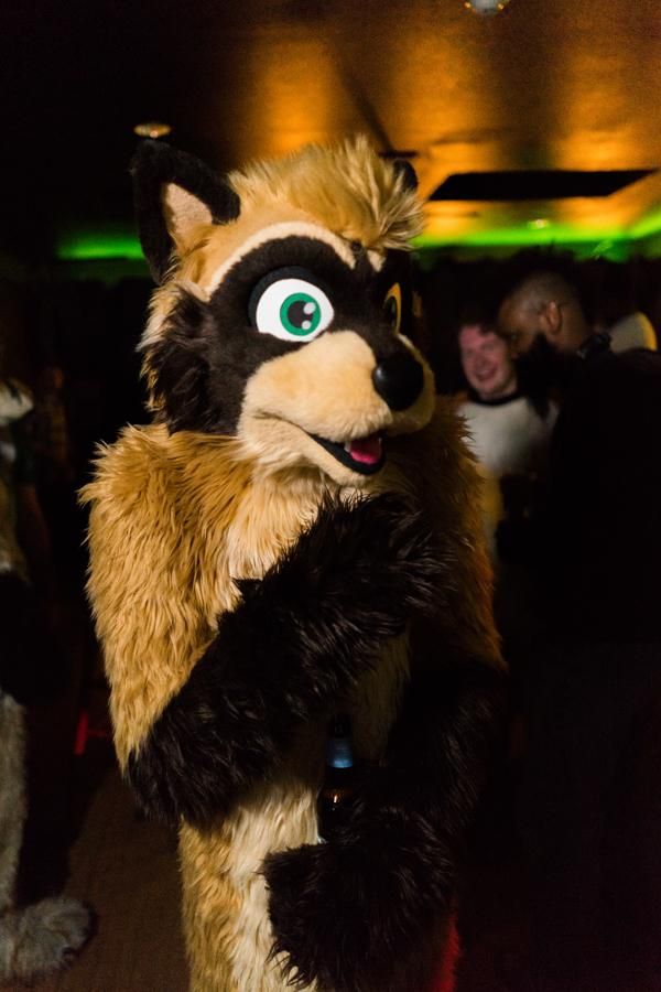 A photo featuring a Fursuit