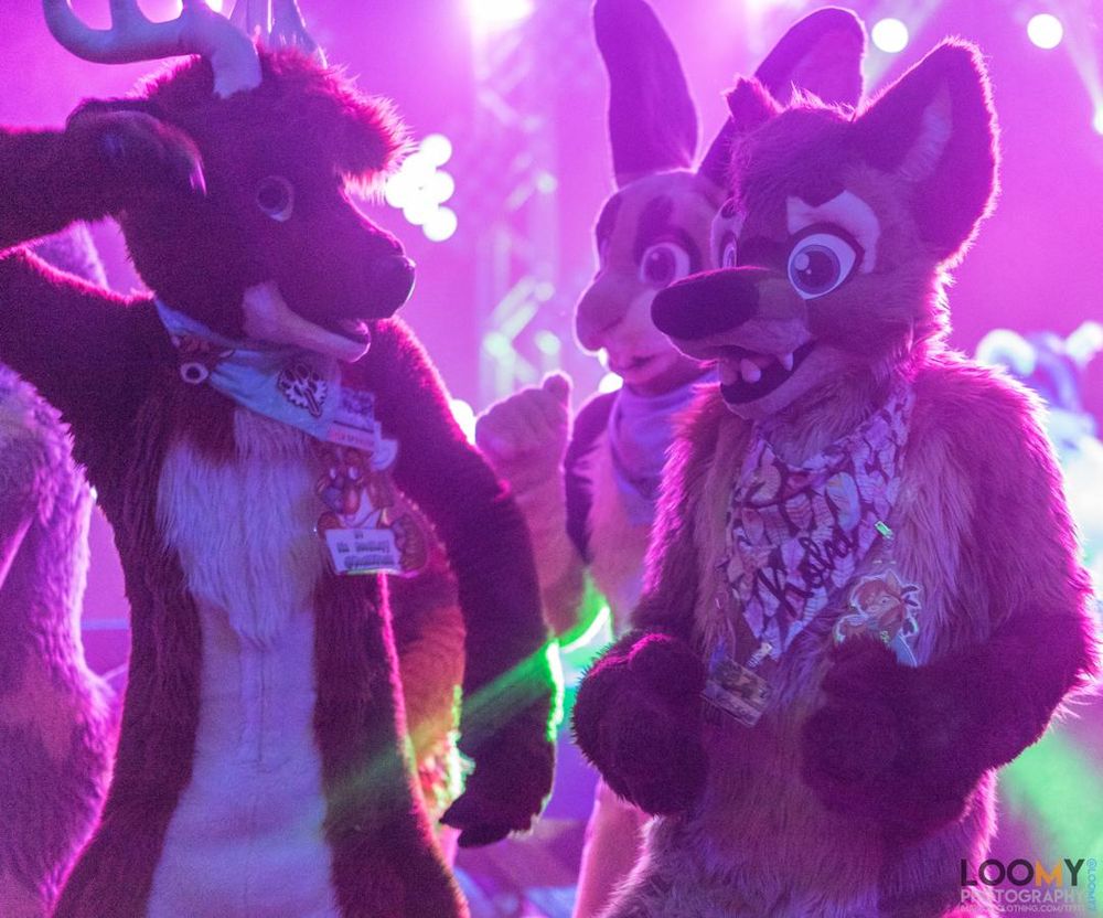 A photo featuring a Fursuit