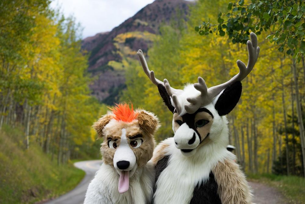 A photo featuring a Fursuit
