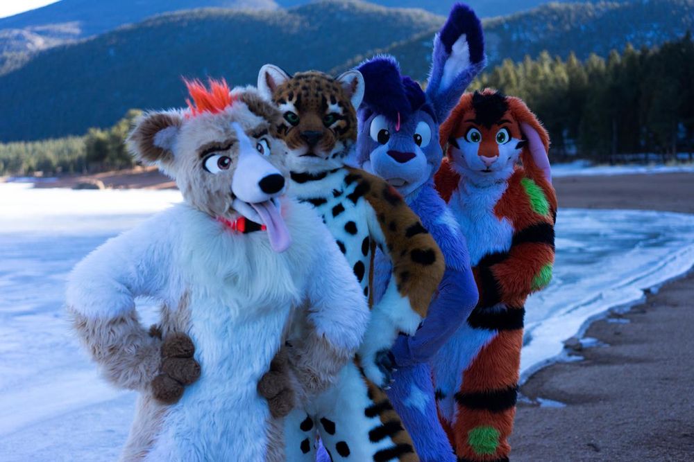 A photo featuring a Fursuit