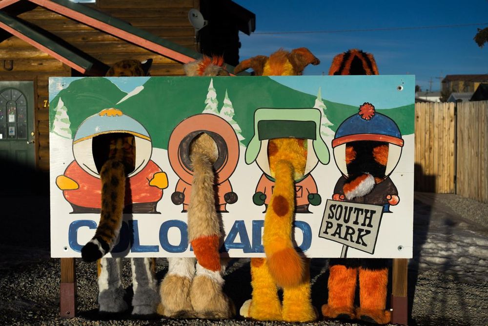 A photo featuring a Fursuit