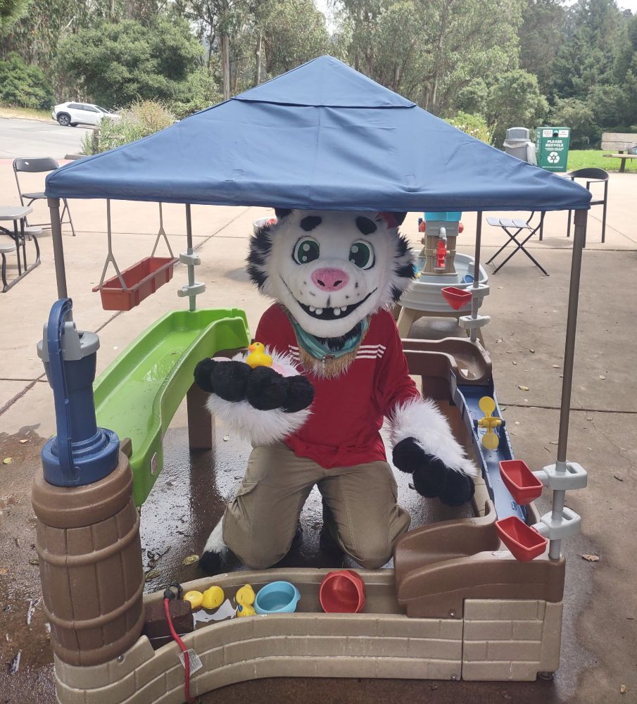 Photo of white tiger fursuit kneeling inside a kiddie play area for playing with flowing water, holding up a rubber duck.