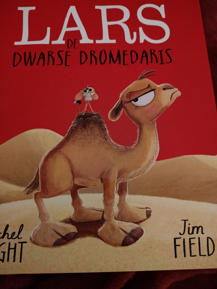 Hoe leer je een jonge dromedaris omgaan met een dwars humeur.