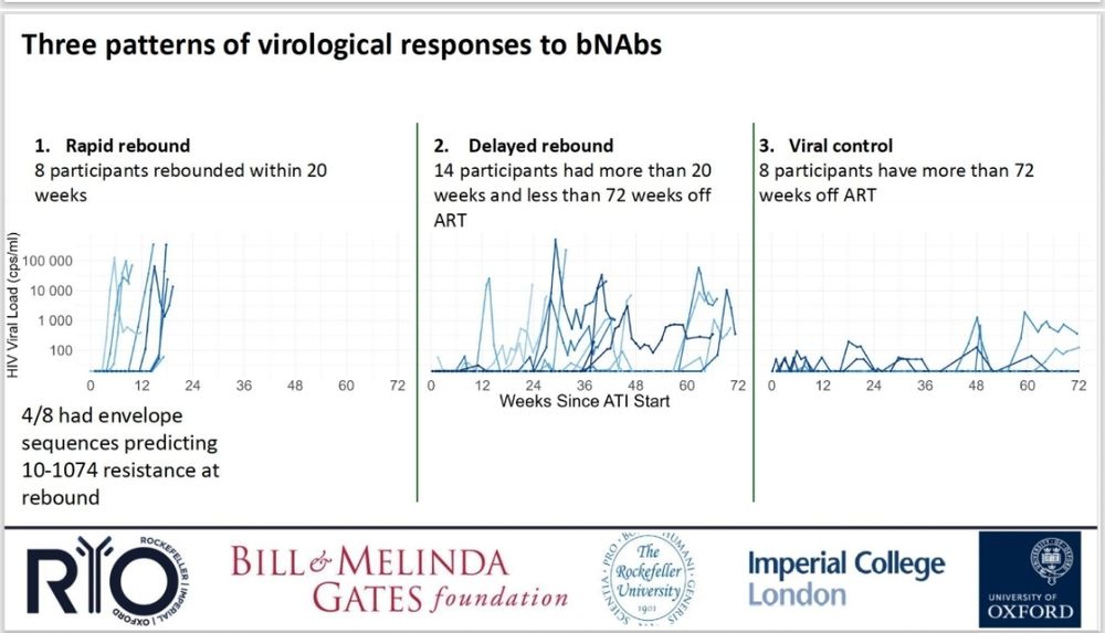 Chart showing 3 patterns of viral rebound in people in the RIO study