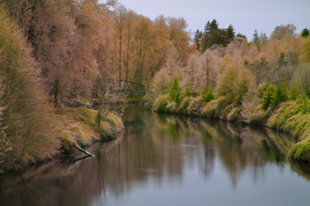 Good Morning Happy Tuesday to ya! This image I took in 2011 and I never processed it. It's an infrared taken at 720nm in an unconverted camera so it was a several second exposure and really shouldn't have any greens. Yet It is one the most bizarrely mixed IR images I have.  #photography 