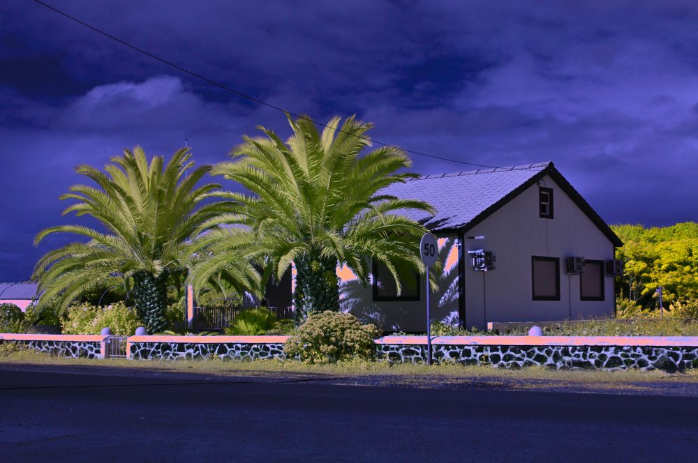 Good Morning Hope everybody is good on this festive Friday Eve!  This house had so much of the golden hour sun it , the camera recorded much of the white stucco as golden after post.  Processing IR is a little like opening gifts on Christmas morning. Have a good day! #photography