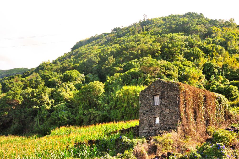 Couldn't tell if this on is a ruin or still someones home. Picturesque oneway or the other. The weather here is changing bright lo hanging cloud yesterda! Cheers!