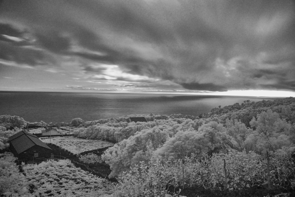 Good Morning Gang! Hope you are all well. Happy weekend to ya! One image this morning a Mono infrared shot at 830nm. I have been trying diligently to up my mono game some. Be safe out there today!! #photography 