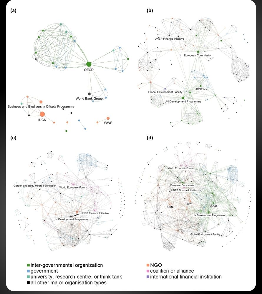 Social networks of biodiversity finance actors over time 