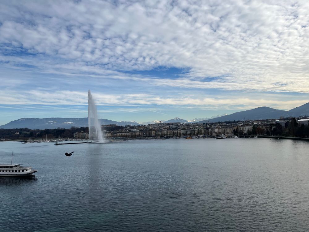 Lake Geneva scene with bird flying in front of the jet of water. 