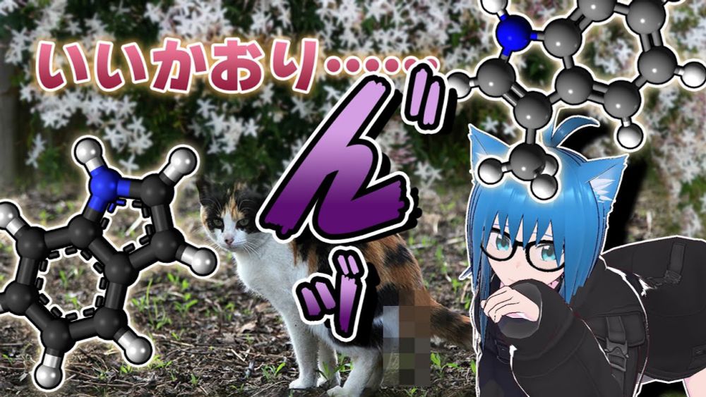 【科学解説】『いい匂い』がするインドール、たくさんあるとすごいことになる   #化学 #創太の残念物質辞典