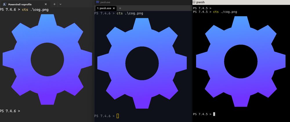 image rendered in the console using Sixel, InlineImageProtocol and KittyGraphics