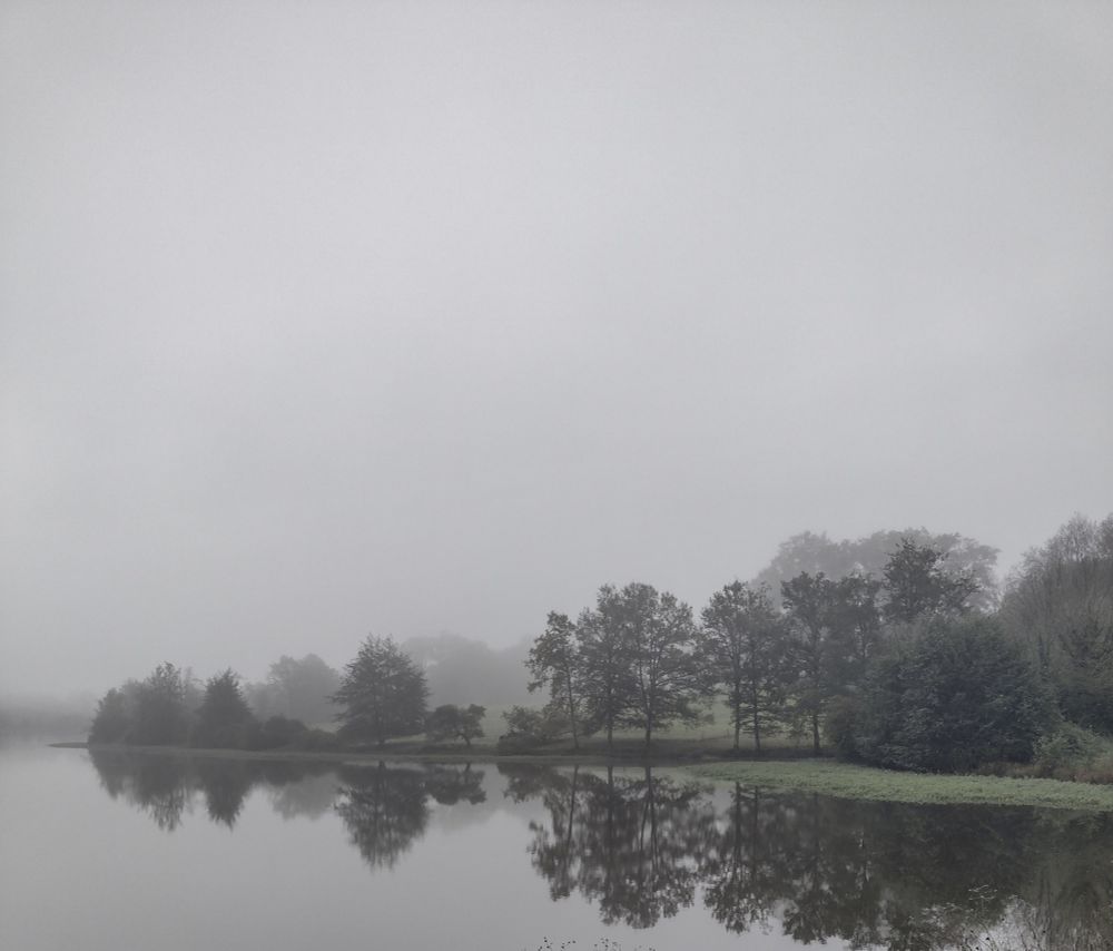 view of a lake with trees reflecting in the water, grey misty sky, almost monochrome image 