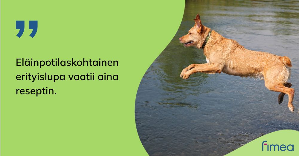 Kuvassa koira. Teksti: Eläinpotilaskohtainen erityislupa vaatii aina reseptin.