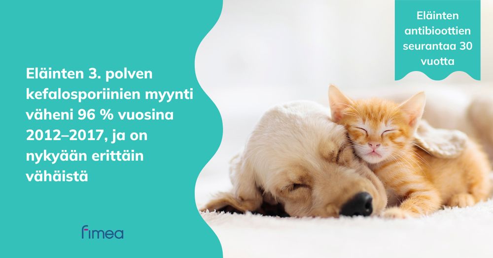 Eläinten antibioottien seurantaa 30 vuotta.