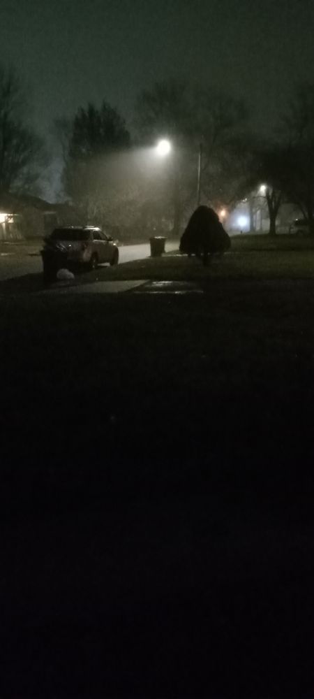 A street light in the fog
