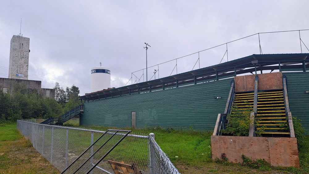 The steps up to the grandstand,  disused and overgrown. 