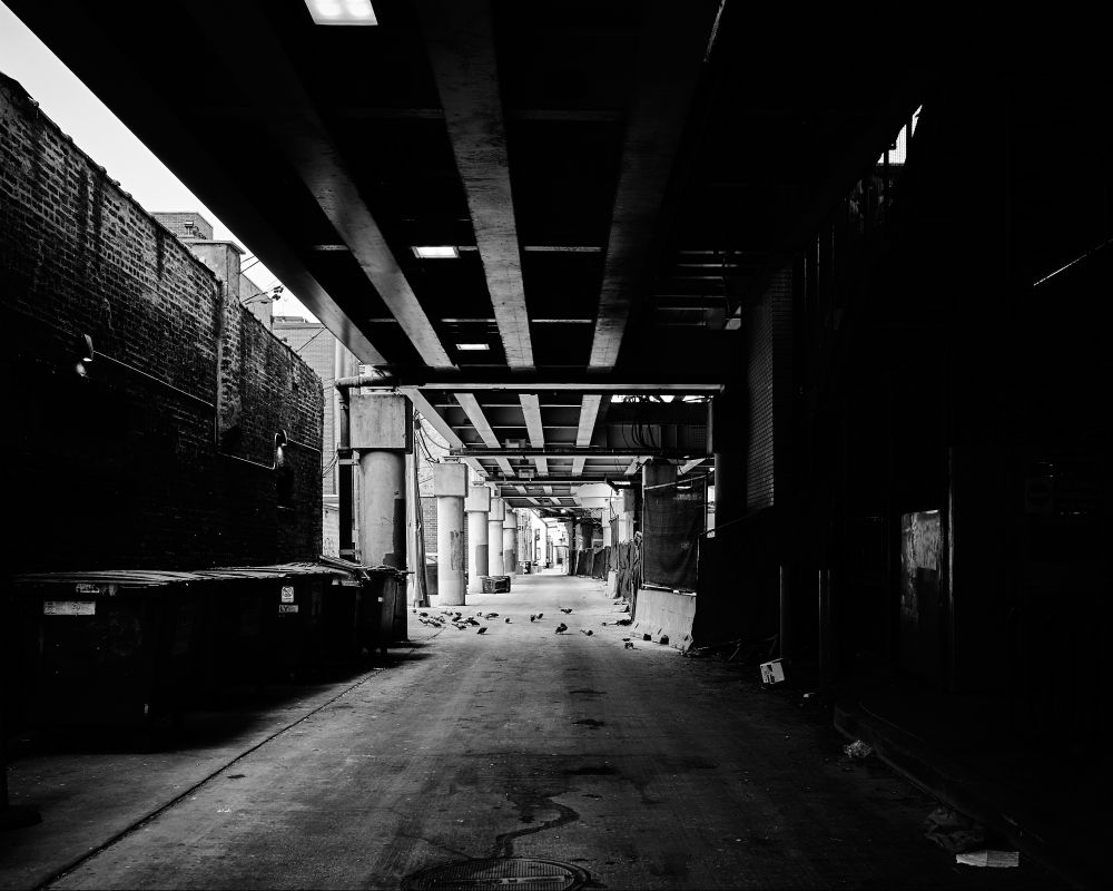 A monochrome image of a narrow urban alley under a bridge, with light filtering through. Pigeons scatter on the ground. The area is framed by brick walls and dotted with large dumpsters.