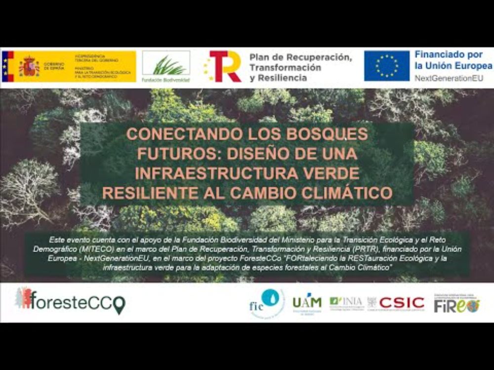 2º webinar FORESTECCO - Conectando bosques futuros