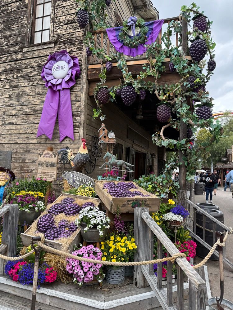 Boysenberry Festival decorations 