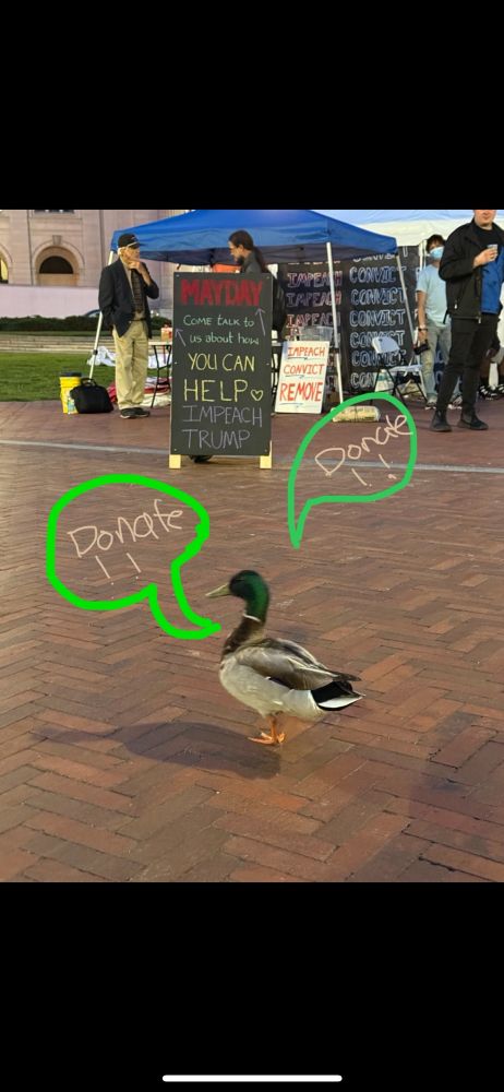 A picture of the surviving parts of the impeachment action center where there are banners on impeachment. A mallard 🦆 duck walks in the foreground with two speech bubbles that say “donate!!”