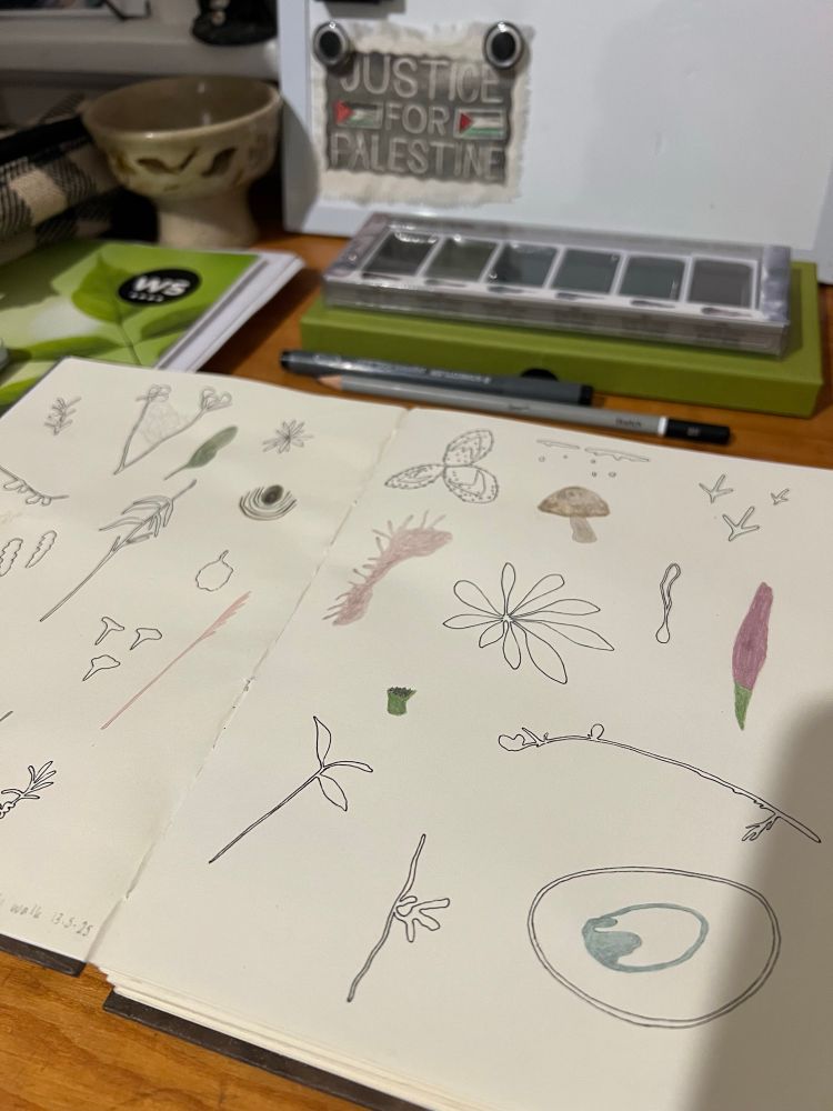 View of a desk with an open sketchbook filled with random nature like doodles. Stationery and paints in the background and a justice for Palestine print on a whiteboard