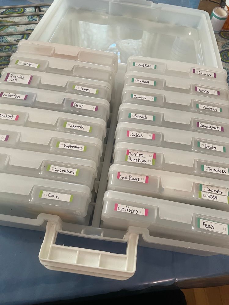 A white and clear colored organizer box  containing smaller boxes with fruit and vegetable name labels!
