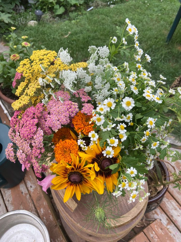 A bunch of bright flowers on a ratty deck. There is yellow and pink yarrow, white ammi and white and yellow fever few, rich yellow rudbeckia with dark maroon centres, and orange marigolds.