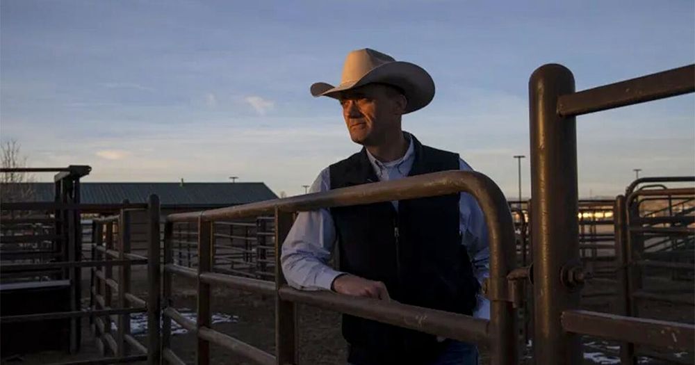 From early June to mid-October, Gayle Ware surveys 30,000 acres of remote and rocky national forest land by horseback, traveling east to west across four sprawling pastures west of Hotchkiss.
