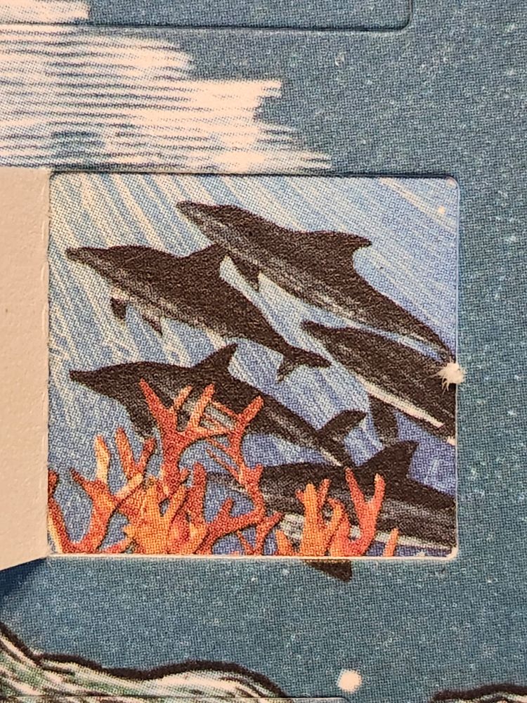 A shoal of dolphins, almost black against the moving water, swimming front of fronds of orange kelp.