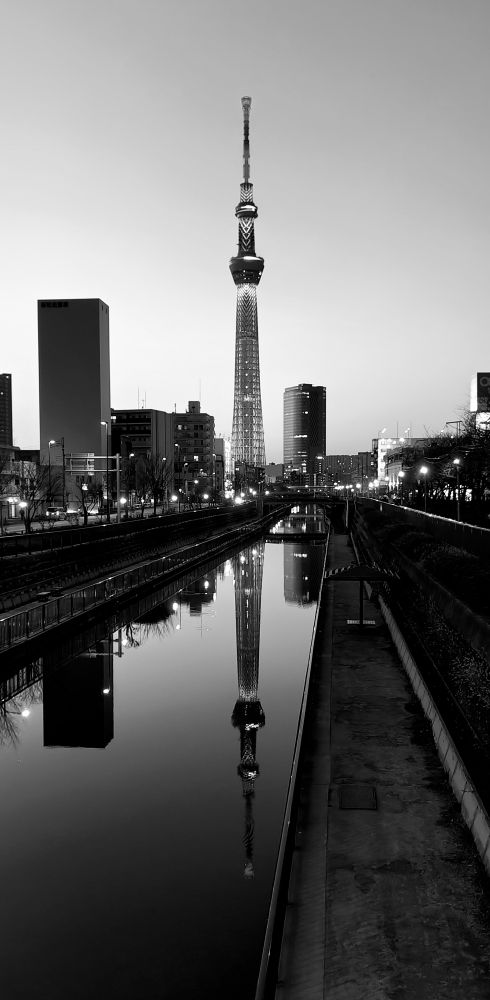 逆さスカイツリー、白黒バージョン