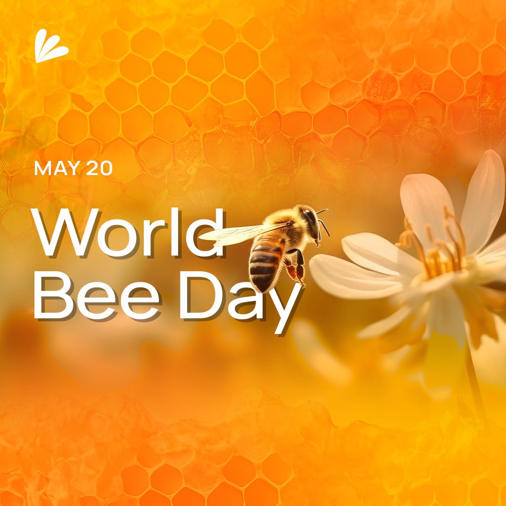 An image of honeycomb overlayed with an image of a bee hovering near a white flower. Text reads: May 20, World Bee Day. The Samba Scientific logo is included.