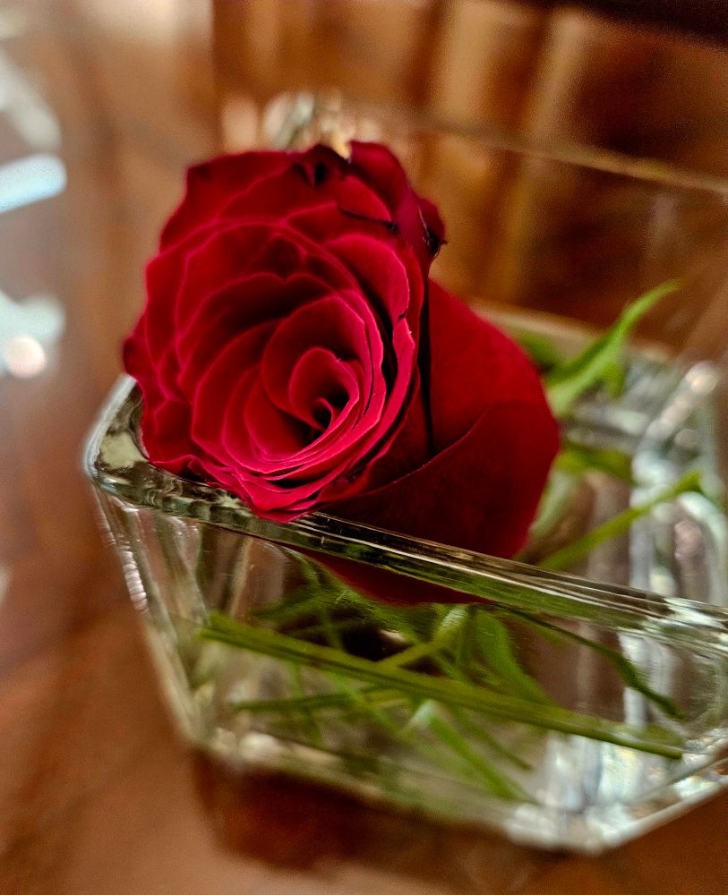 Red rose in a small glass vase.
