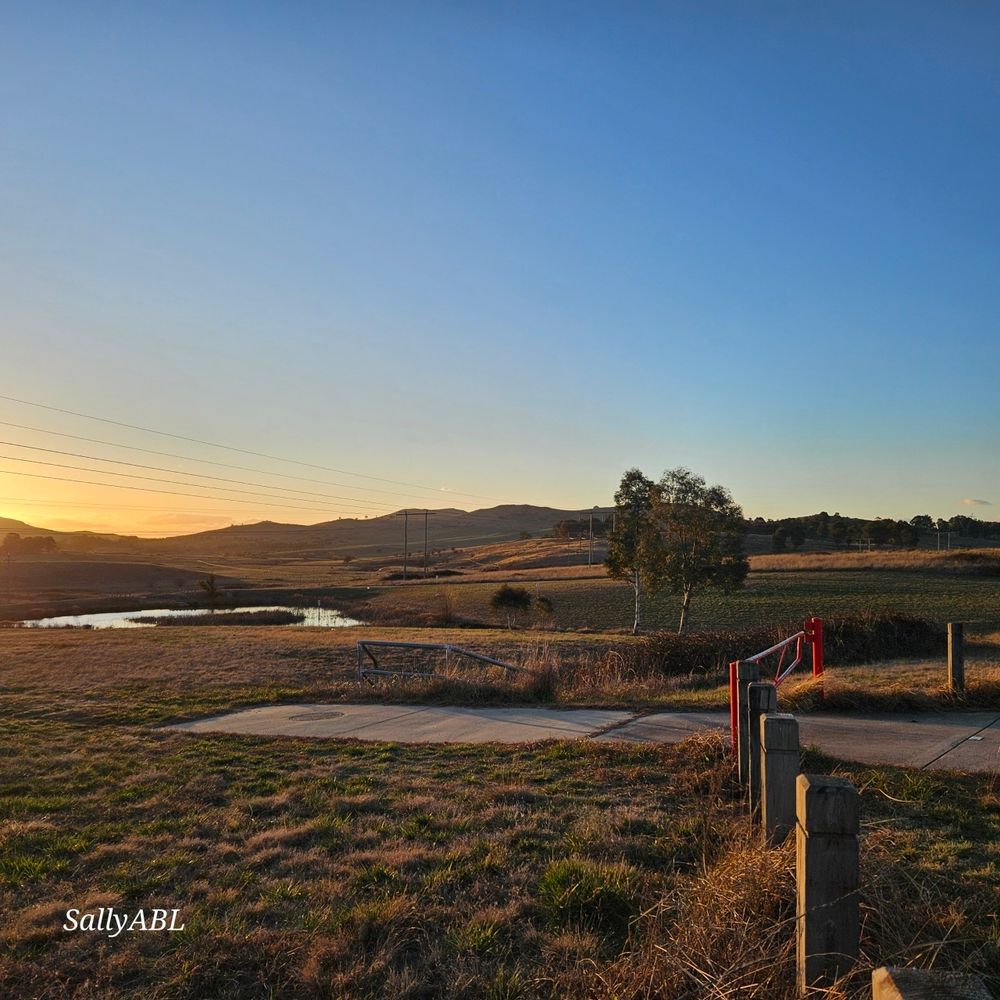 Wide frame colour photo of a landscape. 
Out of sight to the left, the sun is setting, casting a warm, gentle glow across the image. On the horizon is a low mountain range. 
Central to the image is a small waterhole to the left and 2 small trees to the right. 