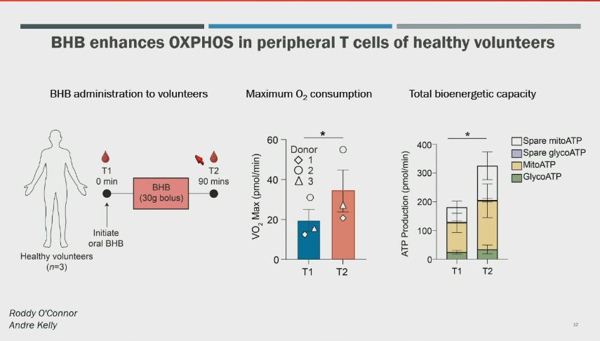 BHB enhances OXPHOS in peripheral T cells of healthy volunteers. 