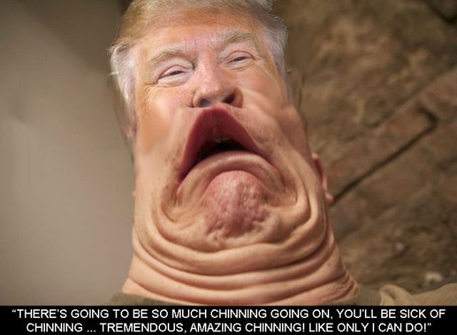 Comment image