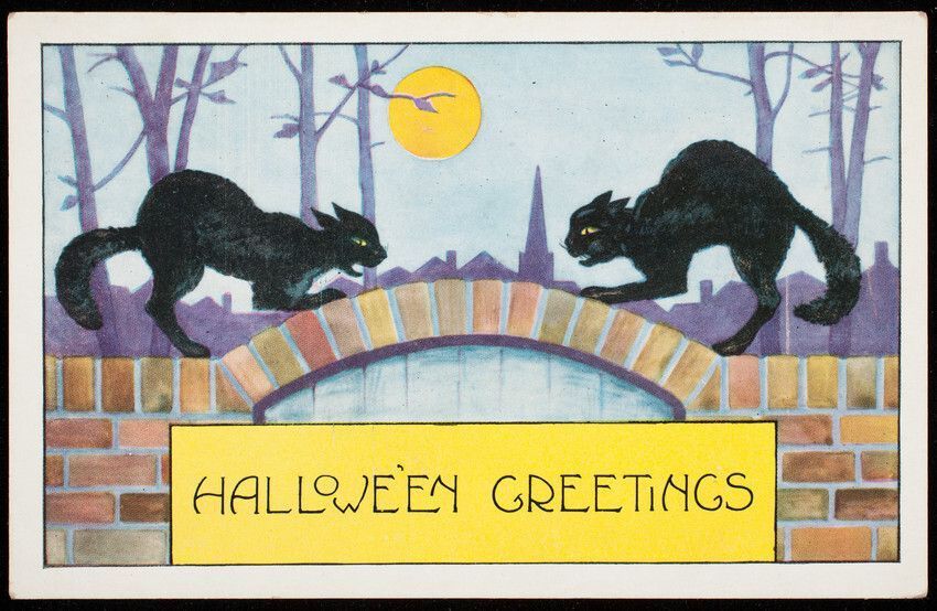 Postcard with two black cats on a brick fence with a full moon in the background. The cats are both facing each other with flat ears, arched backs, and puffy tails. Below them is a message: "Hallowe'en Greetings"