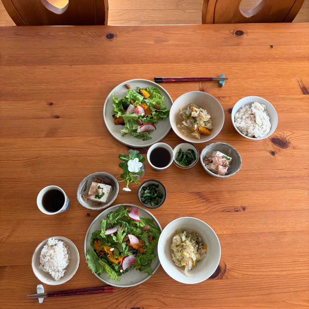 2人分の昼食　サラダ　豚肉と野菜の煮込み　温奴　ほうれん草おひたし　もち麦ごはん　麦茶