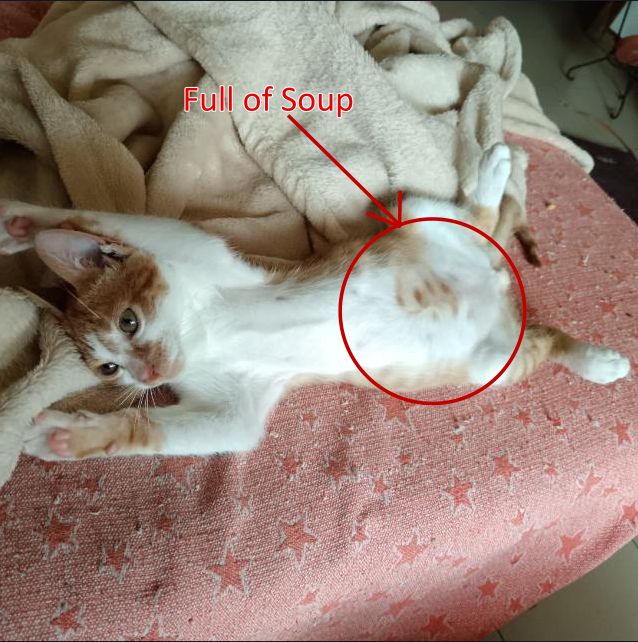 Comment image