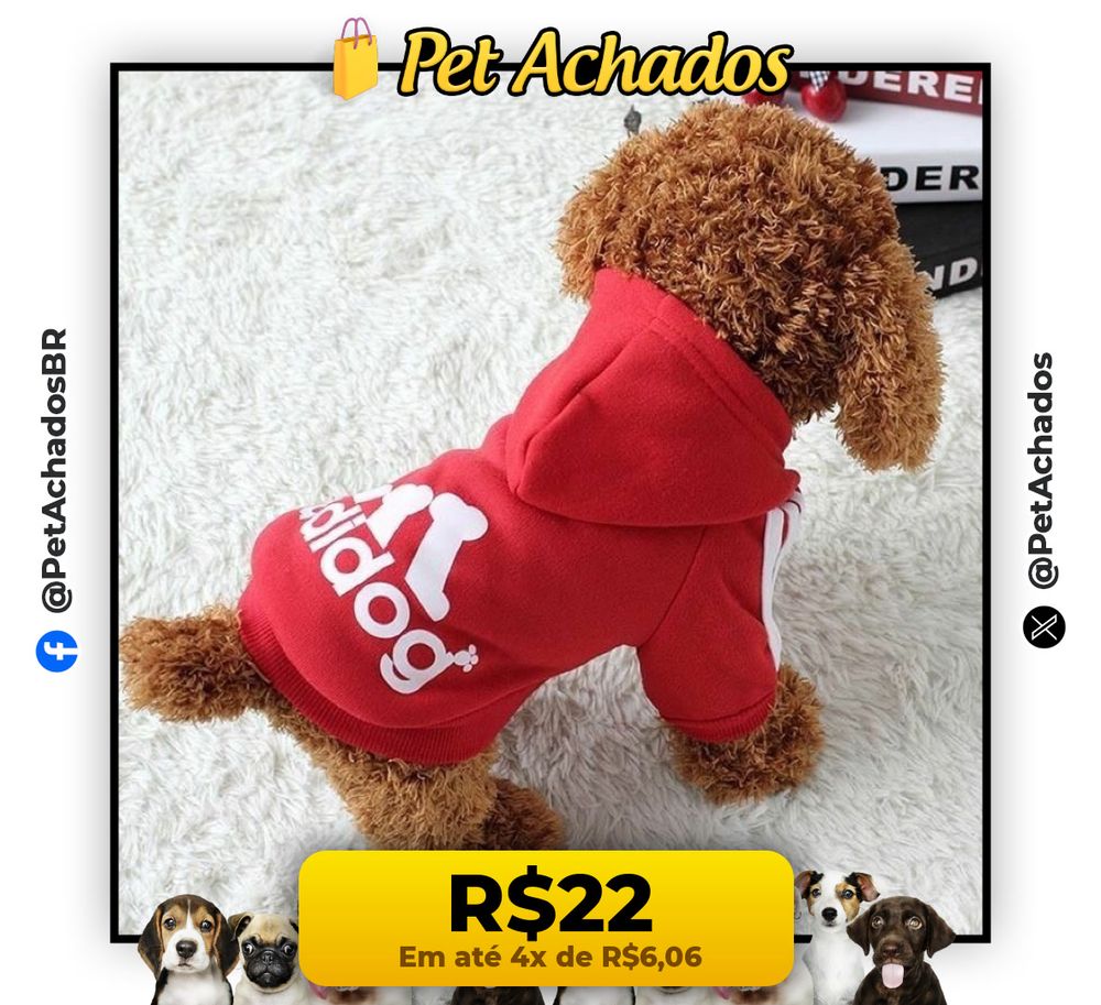 Moletom Roupa de Frio para Cachorro Racas Pequenas (Porte Médio)