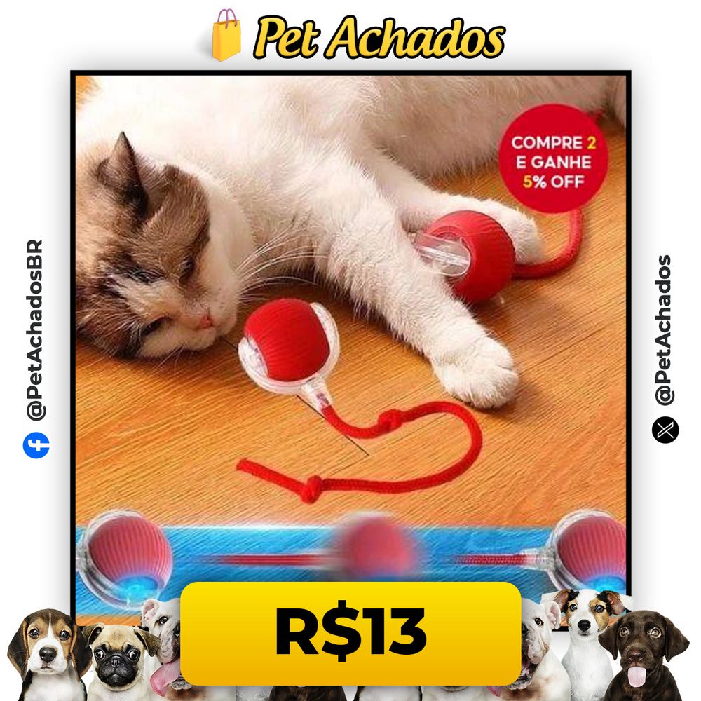 Bola elétrica com fio para gatos e cães, brinquedo interativo para pets.