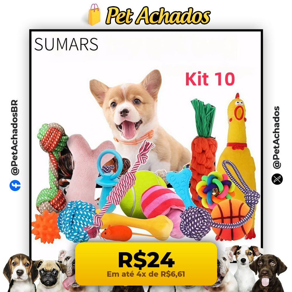 Kit 10/6 Brinquedos Mordedor Cachorro Filhote Anti Estress Pet Ranger os dentes Limpeza da boca