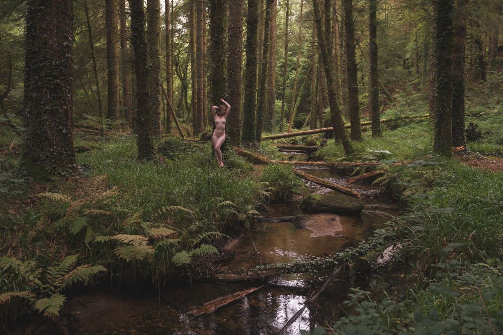 Naked woman lying against a tree in the middle of a Forrest, next to a stream. The left foreground is full of nice ferns, the stream is crossed in multiple places by fallen trees.